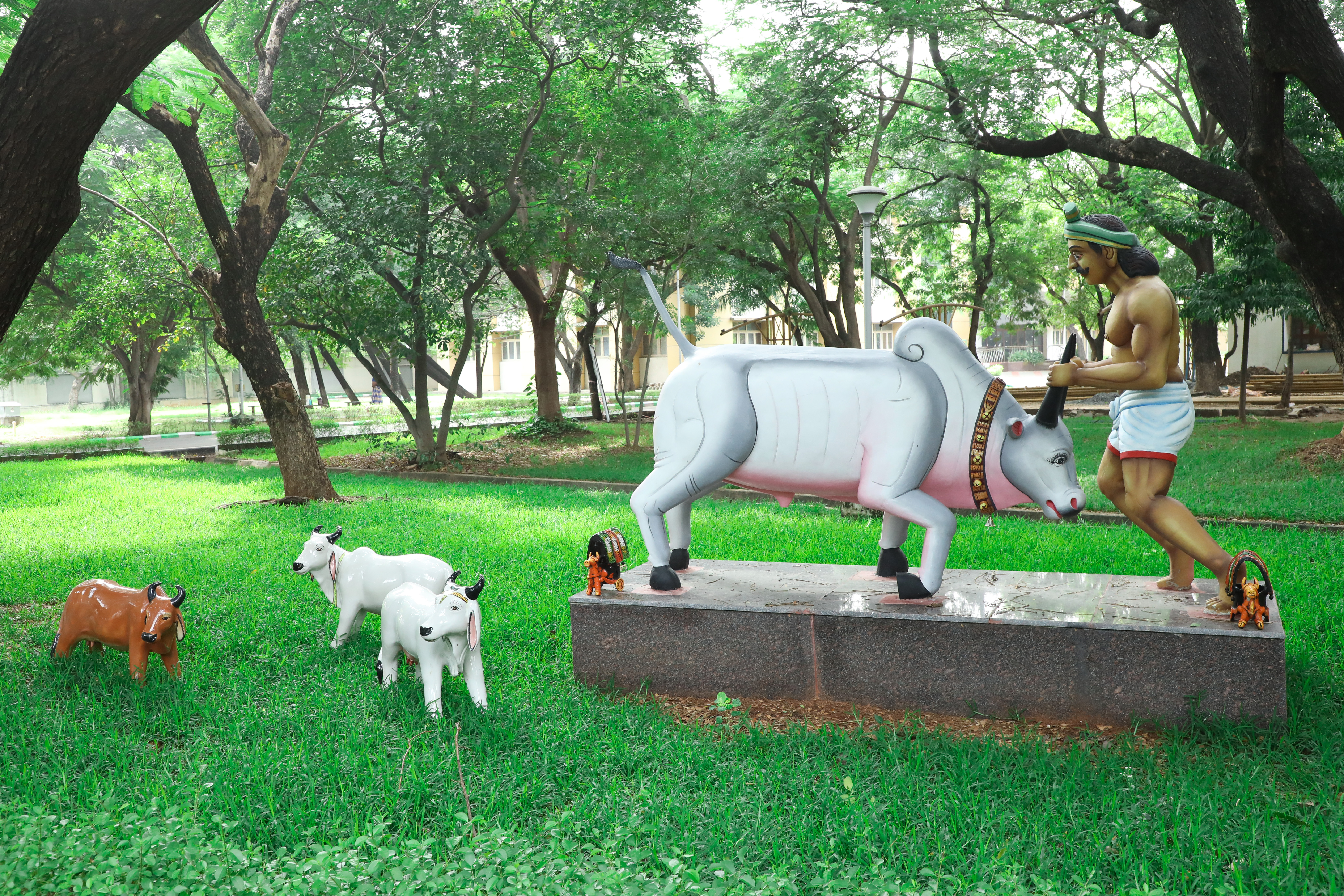 Campus Photo